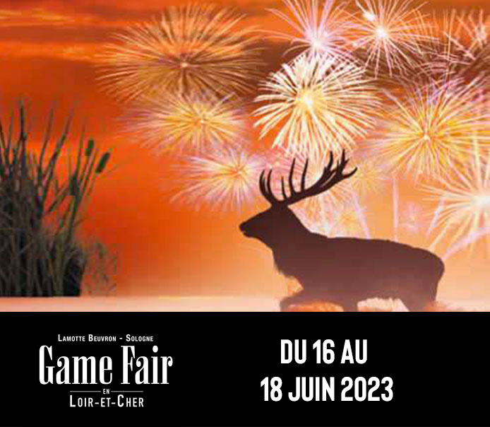 bandeau game fair